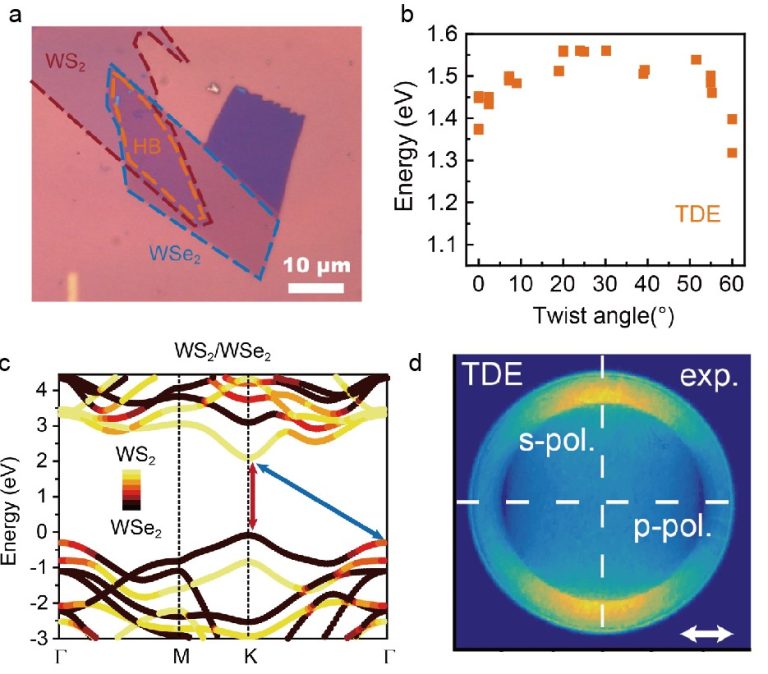 图表, 雷达图 描述已自动生成