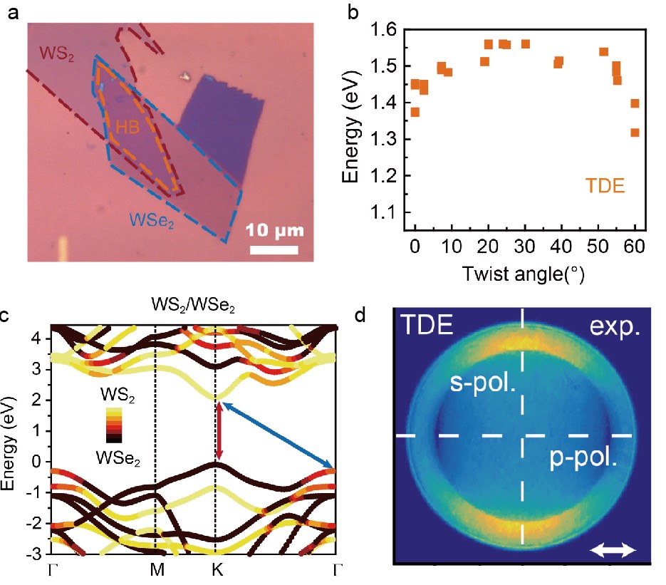 图表, 雷达图 描述已自动生成